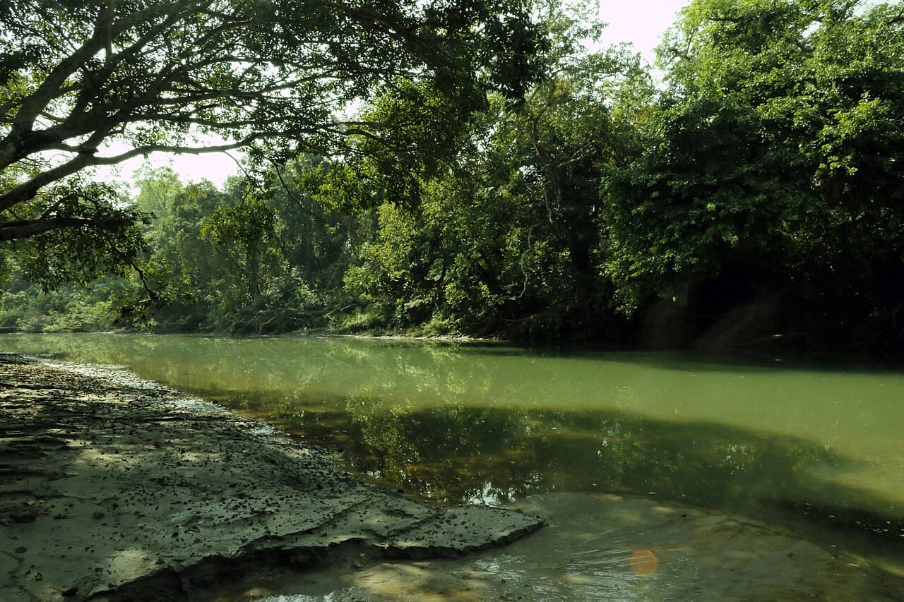Bardia National Park 2