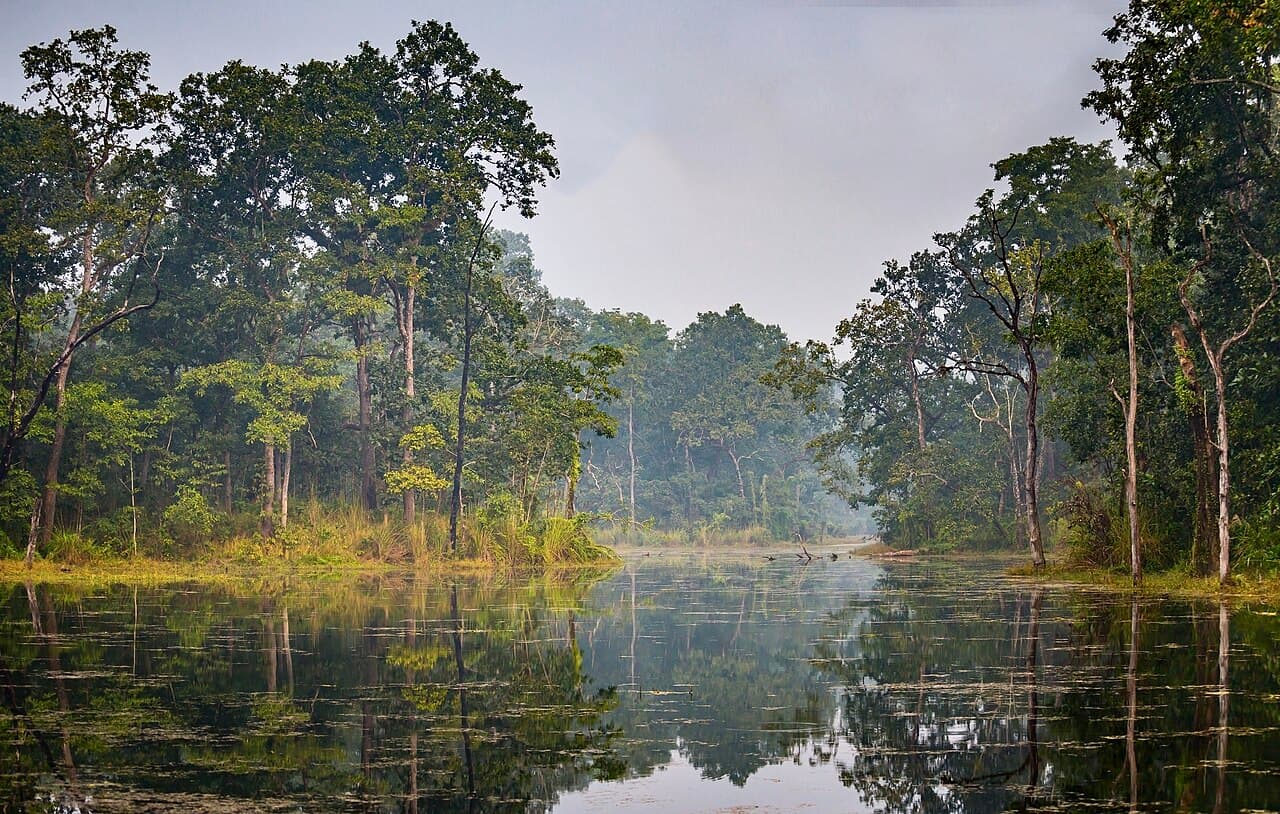 Chitwan National Park 2