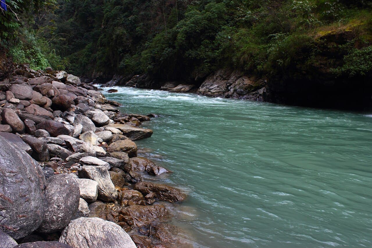 Koshi Tappu Wildlife Reserve 2