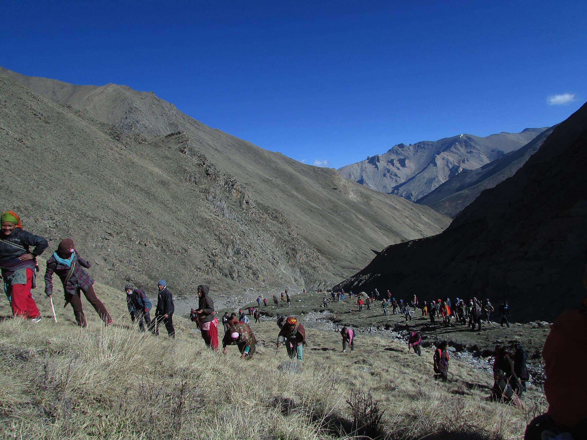 Lower Dolpo Circuit