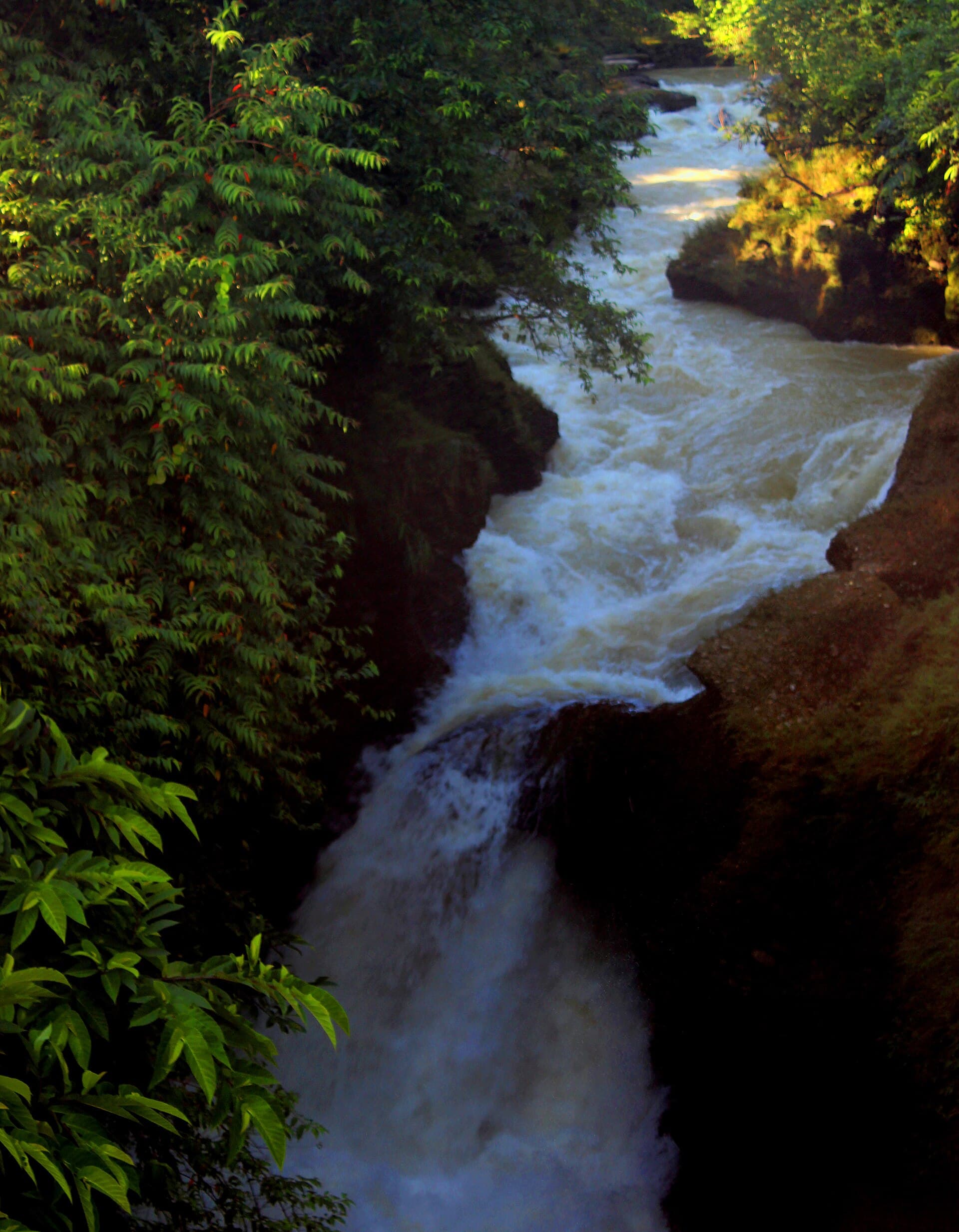 Davis Falls